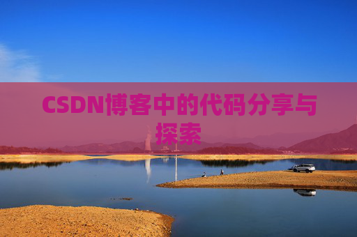 CSDN博客中的代码分享与探索